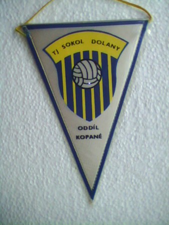 DOLANY TJ SOKOL -15-